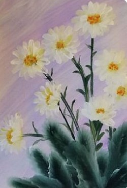 Margeriten